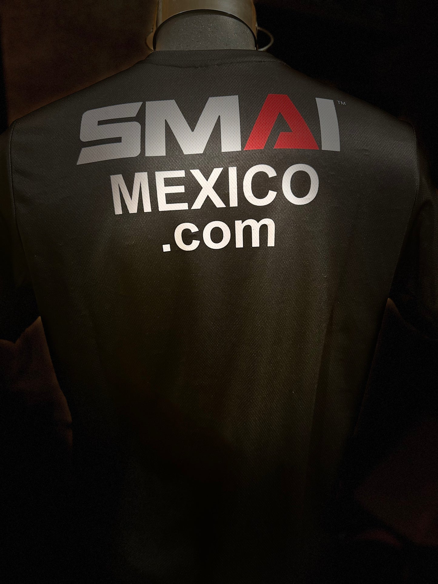 Playera de entrenamiento Team SMAI