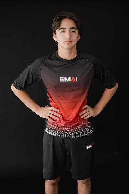 set de entrenamiento SMAI