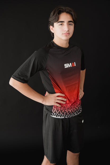 set de entrenamiento SMAI